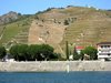The River Rhone and the CDR