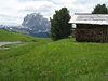 A mountain hut on Col Raiser 